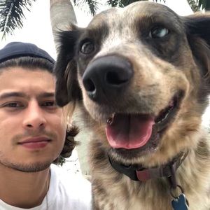 Meet your Posher, Mario